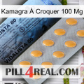 Kamagra À Croquer 100 Mg 44